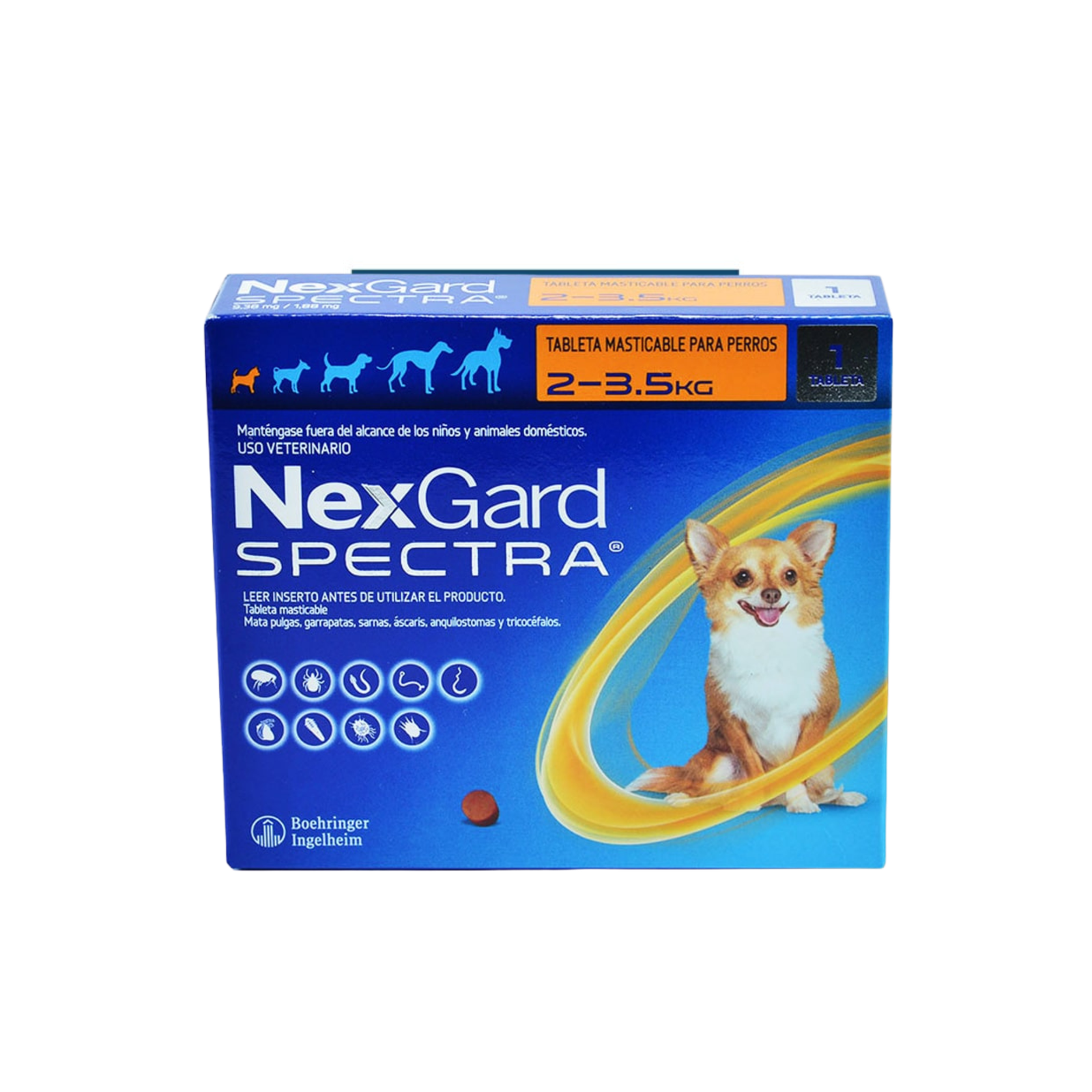 Prueba Formación X